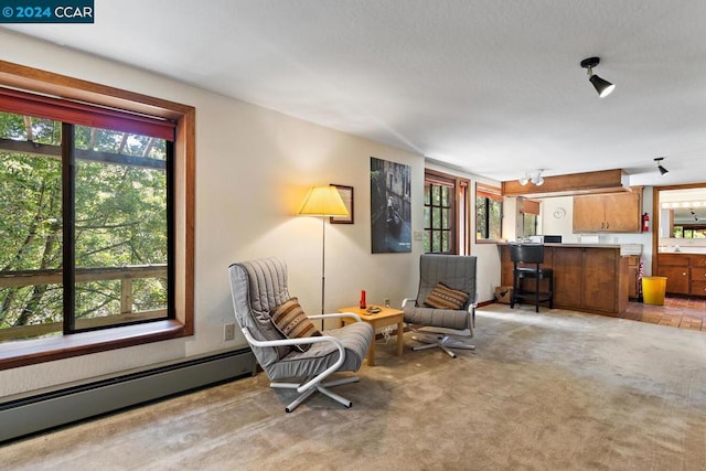 living area with a chandelier, a baseboard radiator, a wealth of natural light, and light colored carpet