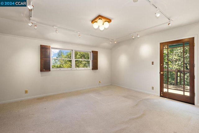 unfurnished room featuring light carpet and a healthy amount of sunlight