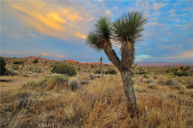 Listing photo 2 for 0 Lisbon Dr, Yucca Valley CA 92284