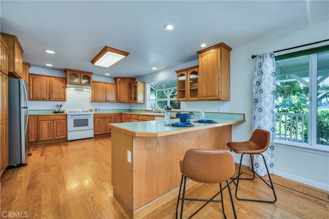 kitchen featuring white range, stainless steel fridge, kitchen peninsula, and a wealth of natural light