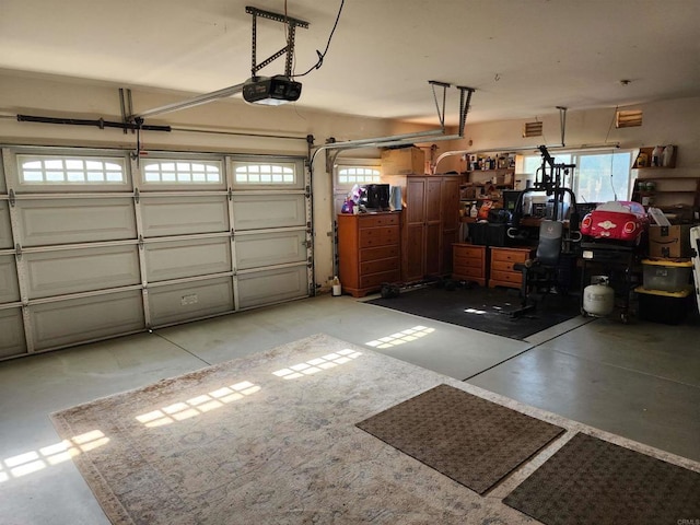 garage with a garage door opener