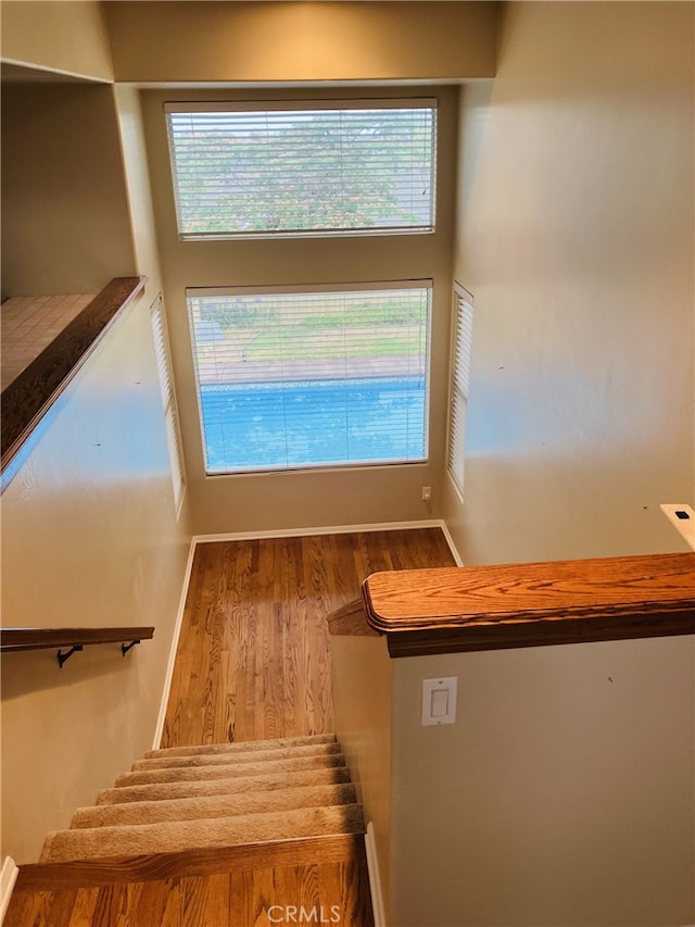 stairs featuring hardwood / wood-style floors