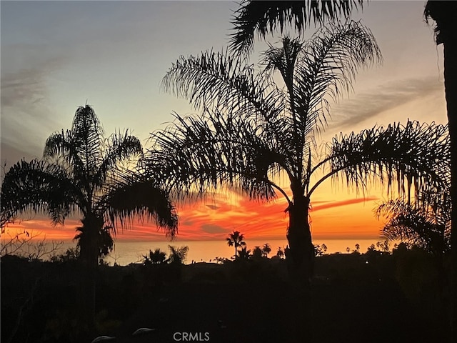 nature at dusk featuring a water view