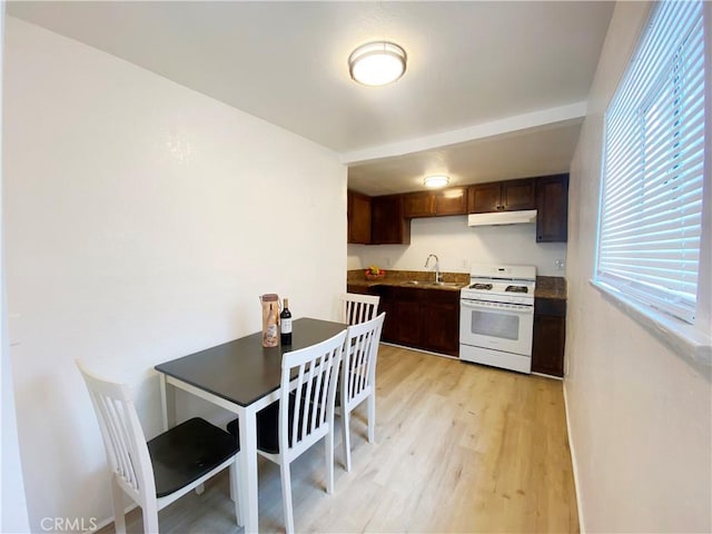 kitchen with dark brown cabinets, light hardwood / wood-style floors, sink, and white range with gas cooktop