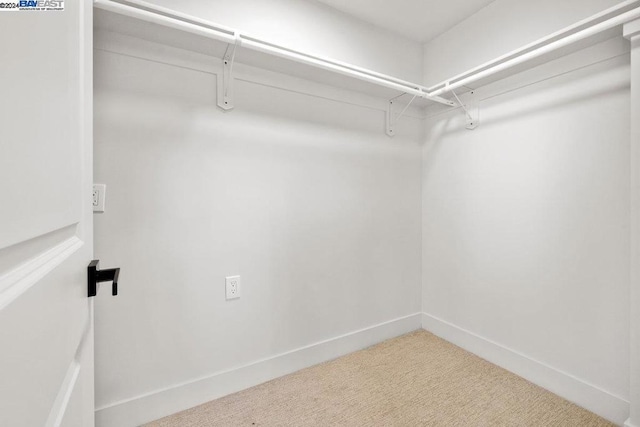 spacious closet featuring carpet