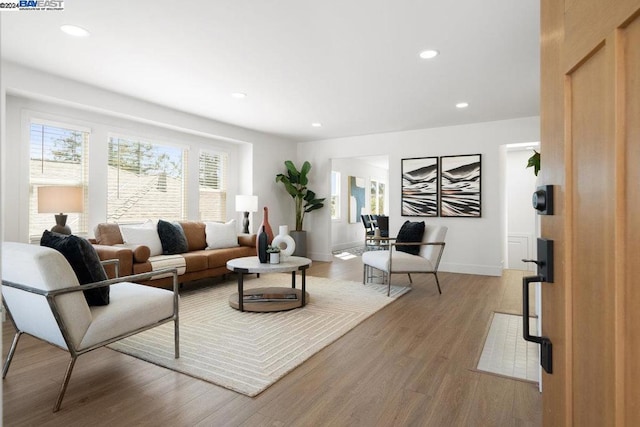 living room with light wood-type flooring