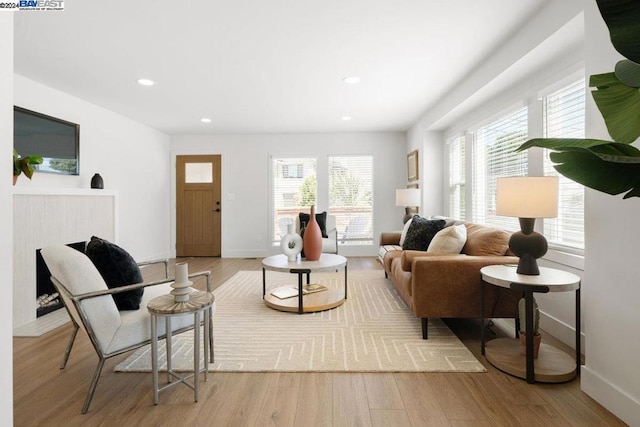 living room with light hardwood / wood-style floors and a healthy amount of sunlight