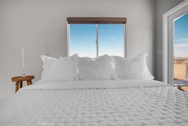 bedroom featuring multiple windows