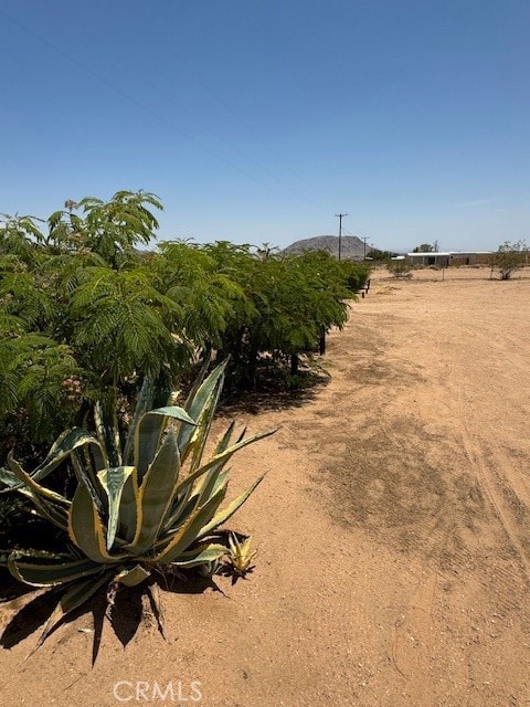 view of local wilderness with a rural view