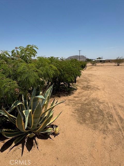 view of yard featuring a rural view