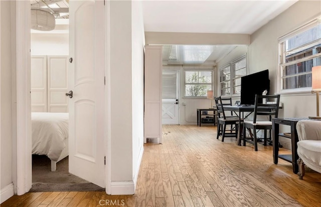 interior space featuring a healthy amount of sunlight and light hardwood / wood-style floors