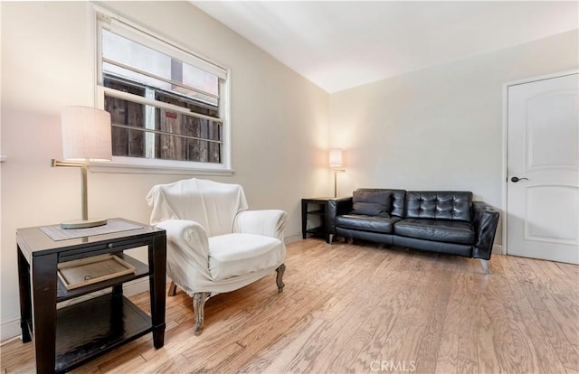 living room with light hardwood / wood-style floors