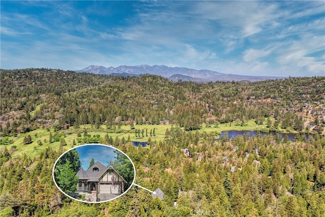 birds eye view of property featuring a water and mountain view