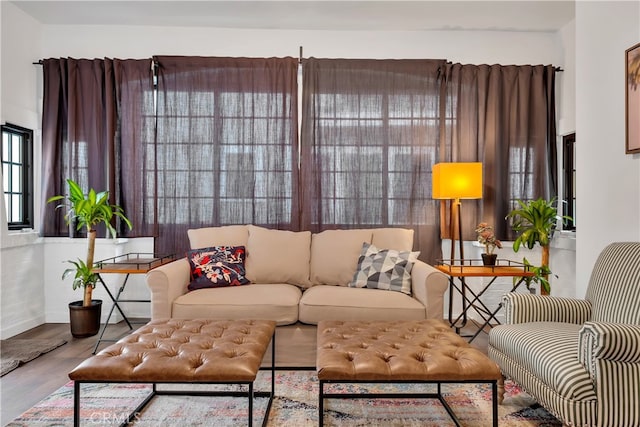 living room featuring light hardwood / wood-style flooring