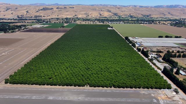 241 Richmond, Morgan Hill CA, 95037 land for sale