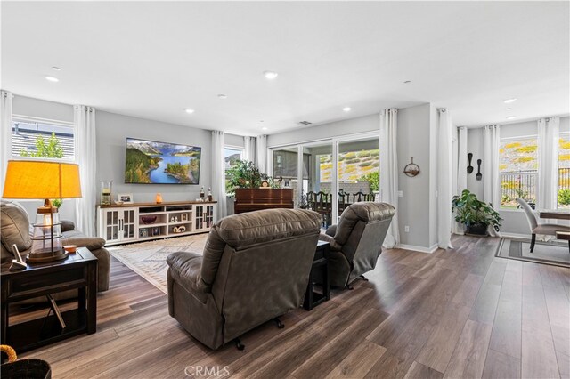 living room with hardwood / wood-style floors and a wealth of natural light