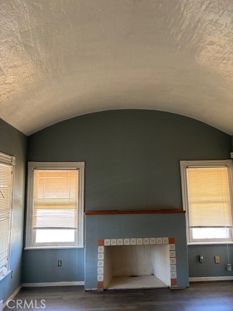 unfurnished living room with wood-type flooring, lofted ceiling, and a healthy amount of sunlight