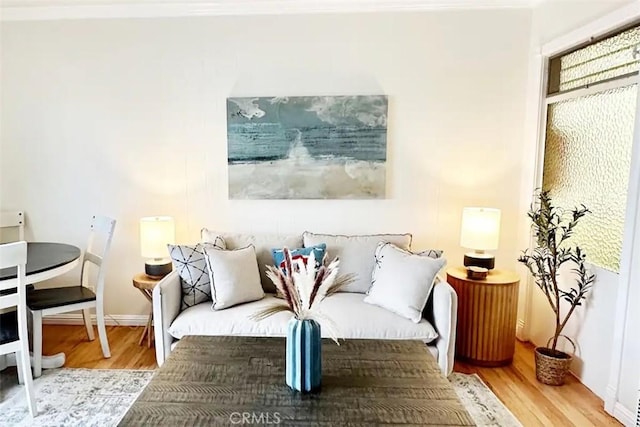 living area with hardwood / wood-style floors