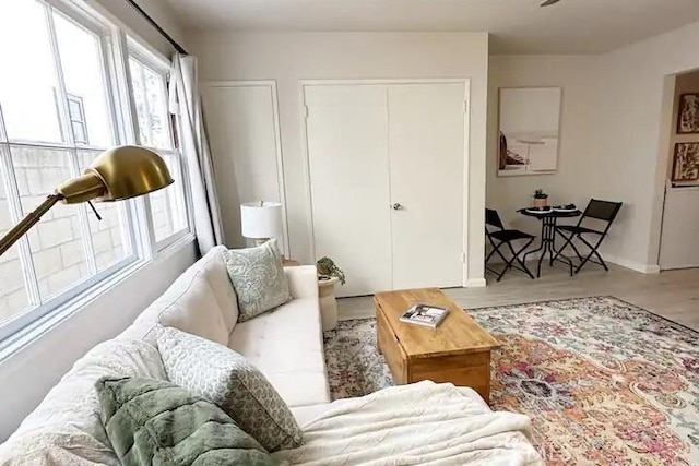 living room featuring wood-type flooring