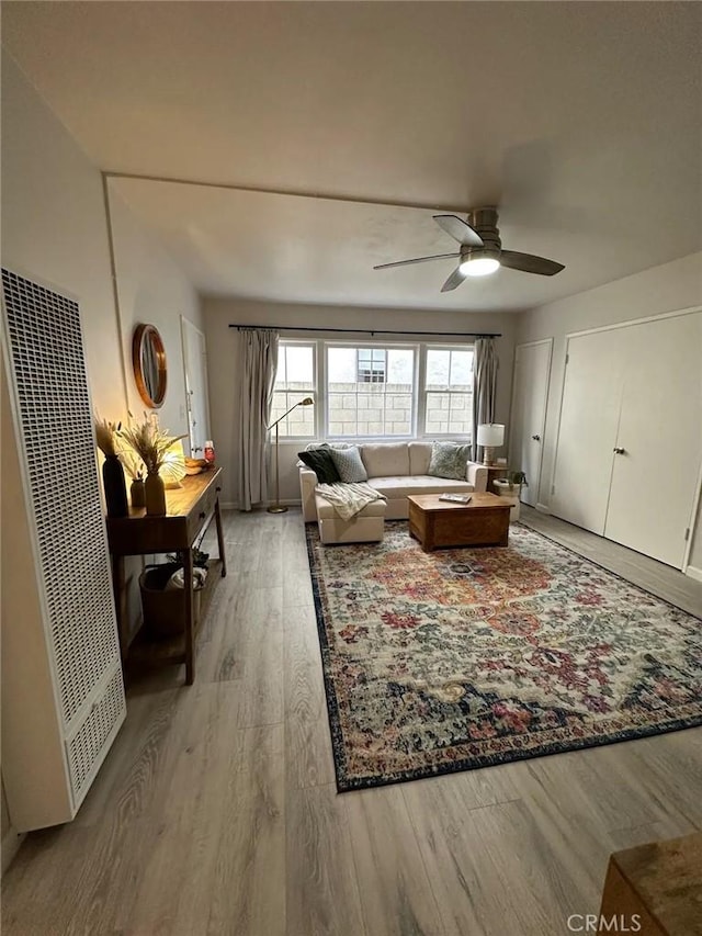 living room with ceiling fan and wood-type flooring