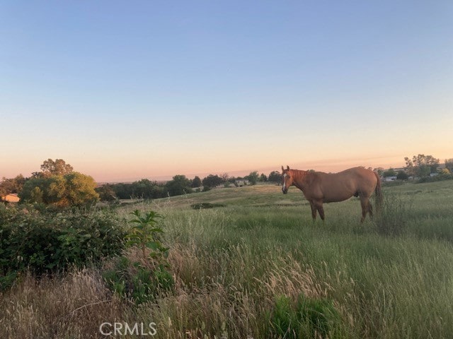 nature at dusk featuring a rural view