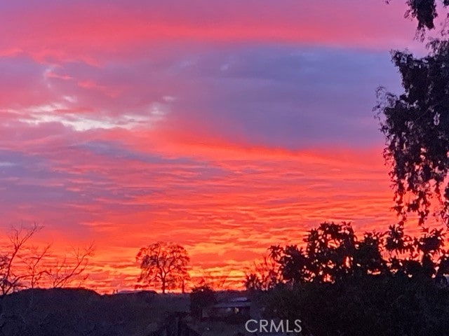 view of nature at dusk