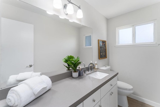 bathroom with vanity, wood-type flooring, and toilet