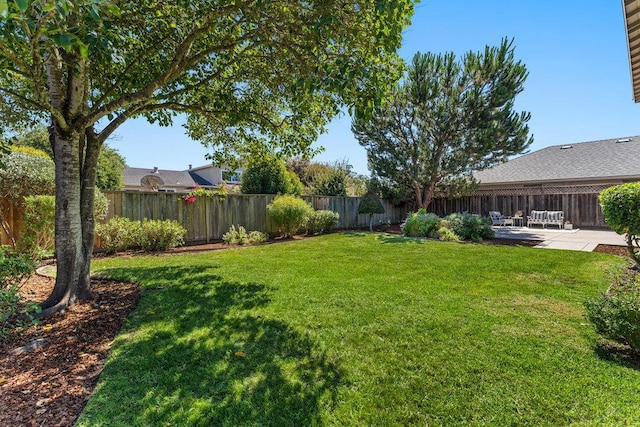 view of yard featuring a patio area