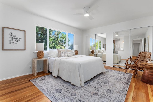 bedroom featuring two closets, ceiling fan, and hardwood / wood-style flooring