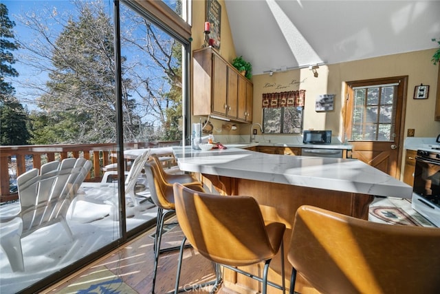 kitchen featuring light hardwood / wood-style floors, stainless steel appliances, lofted ceiling, a kitchen bar, and sink