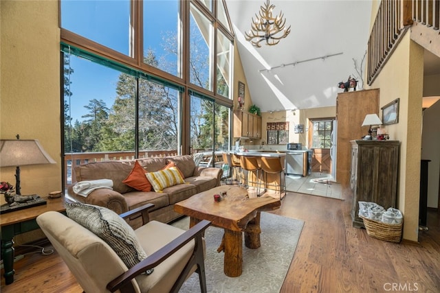 living room featuring high vaulted ceiling, light hardwood / wood-style floors, and track lighting