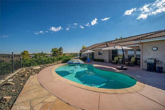 view of pool featuring a patio area, a fenced backyard, grilling area, and a fenced in pool