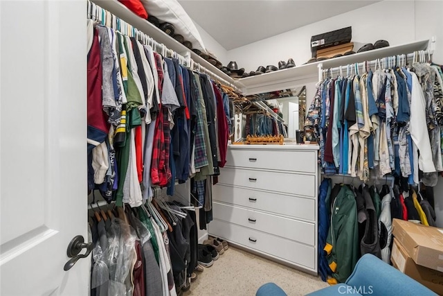 view of walk in closet