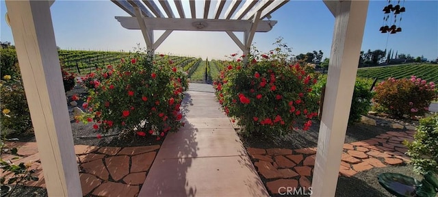 view of patio / terrace featuring a rural view and a pergola