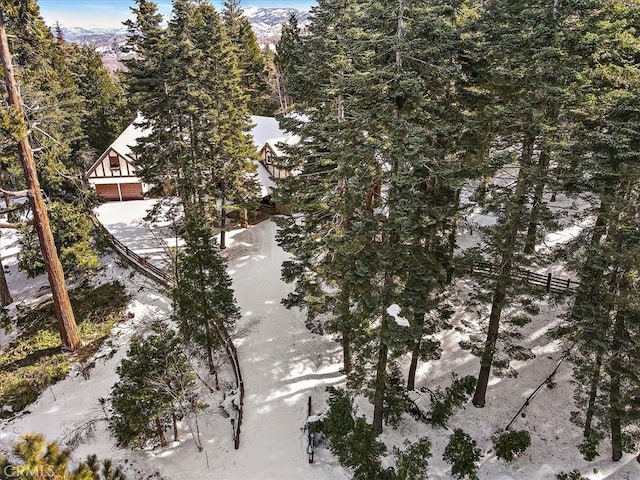 view of snowy aerial view