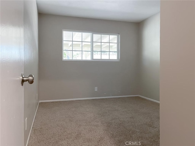 empty room featuring carpet floors