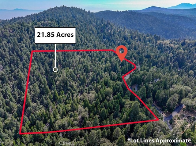 29215 Pigeon Hawk Ln, Lake Arrowhead, CA 92352