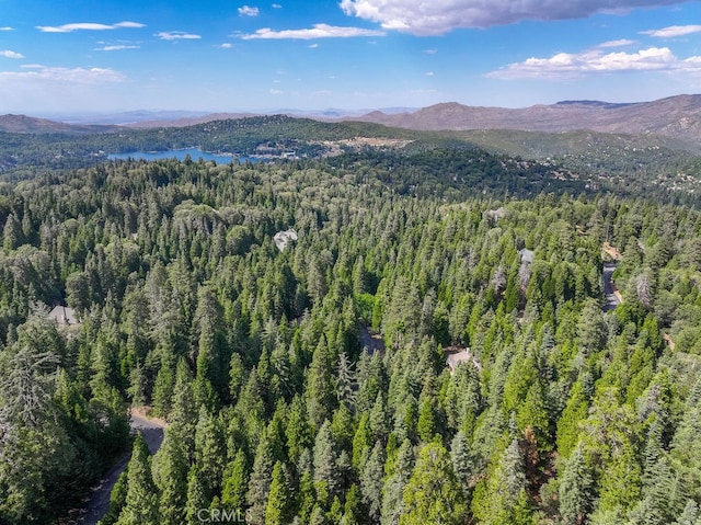 29215 Pigeon Hawk Ln, Lake Arrowhead CA, 92352 land for sale