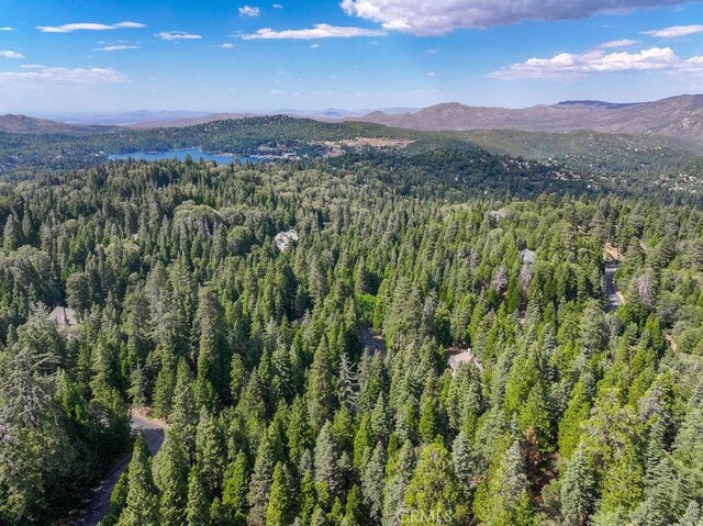 29215 Pigeon Hawk Ln, Lake Arrowhead, CA 92352