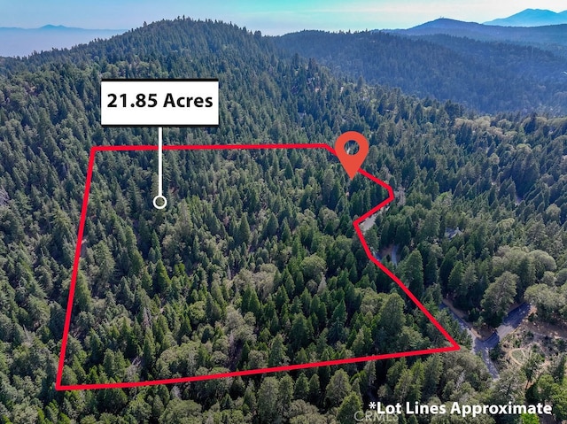 Listing photo 3 for 29191 Pigeon Hawk Ln, Lake Arrowhead CA 92352