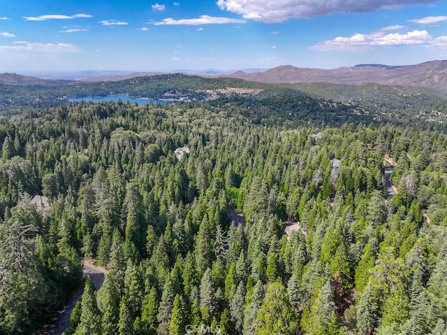 29191 Pigeon Hawk Ln, Lake Arrowhead CA, 92352 land for sale