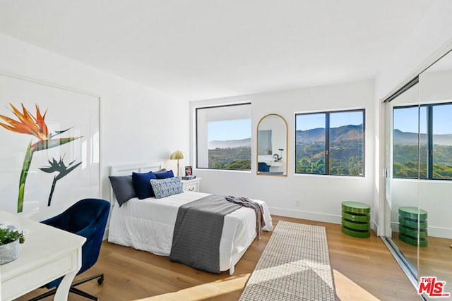 bedroom featuring a mountain view, light wood-type flooring, and a closet