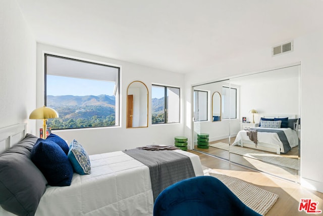 bedroom with a mountain view, light hardwood / wood-style floors, and a closet