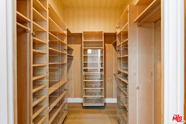 spacious closet with hardwood / wood-style flooring