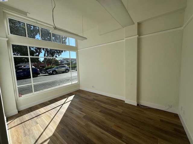 interior space featuring dark wood-type flooring and a high ceiling