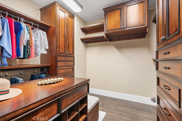 spacious closet featuring dark hardwood / wood-style flooring