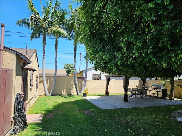 view of yard featuring a patio