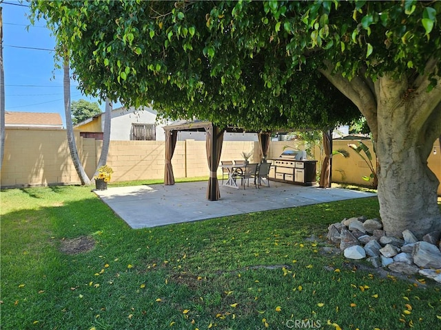 view of yard featuring an outdoor kitchen and a patio