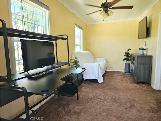 living area with crown molding, ceiling fan, and dark colored carpet