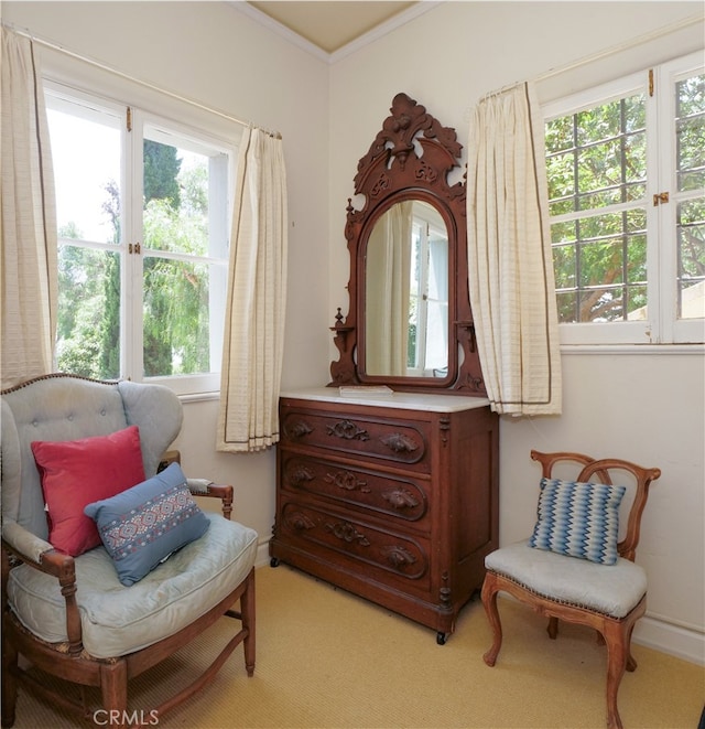 living area with ornamental molding, a healthy amount of sunlight, and light carpet